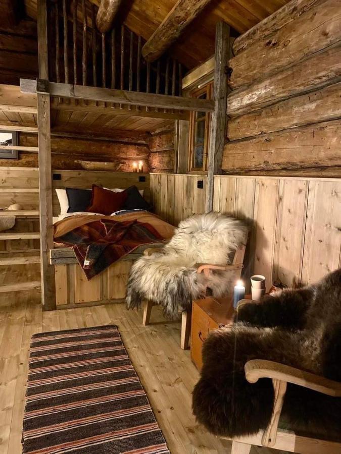 Sauefjoset - Idyllisk Gardstun Fra 1800-Tallet Skjåk 外观 照片